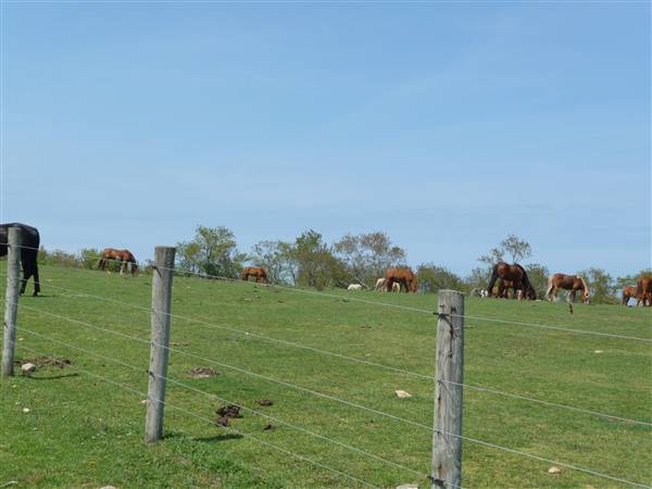 Montauk Downs State Park Golf Course