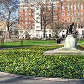 Tavistock Square Gardens