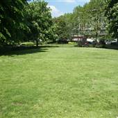 Beckenham Green