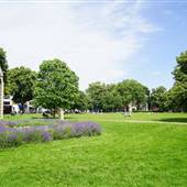 Turnham Green