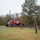 Horse Farm - Dacula