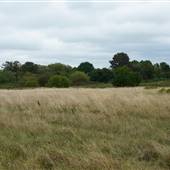 West Hendon Playing Fields