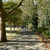 Paradise Park (and football pitch)