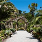 Tresco Abbey Gardens