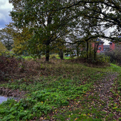 Havering Country Park