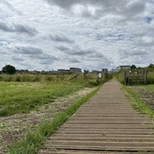 Walthamstow Marshes