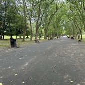 Crystal Palace Park - The Avenue