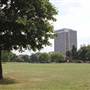 Larkhall Park