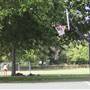 Myatts Fields Park
