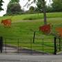 Shenstone Park