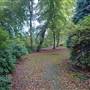 Coombe Wood Gardens