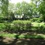 Thornhill Road Gardens