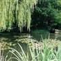 Coombe Wood Gardens