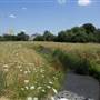 Lordship Recreation Ground