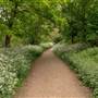 Parkland Walk