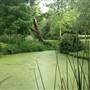 The Knoll