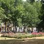 Argyle Square Gardens
