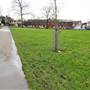Streatham Common