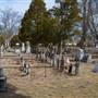 Mays Landing - Houses and Shops