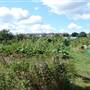 Lesney Farm Allotments