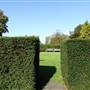Camberwell New Cemetery
