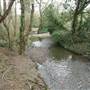 Scadbury Park Nature Reserve