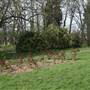 Brenchley Gardens