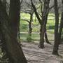Dulwich Wood