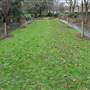 Lucas Gardens