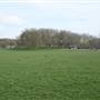 Peckham Rye Park and Common