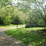 Russia Dock Woodland
