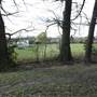 Sydenham Hill Wood