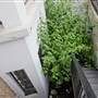 Lime Grove (hostel)