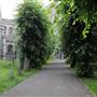 All Saints Church/Vicarage Gardens