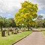 North Sheen Cemetery