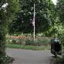 St Peters Square (The park)