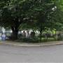 Barlby Gardens