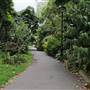 Embankment Gardens Chelsea