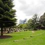 Gunnersbury Cemetery - Main Area