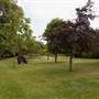 Holland Park - Tennis Court 2 / Netball
