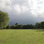 Ravenscourt Park - Main Park