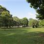 Ravenscourt Park - Main Park