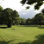 Ravenscourt Park - Main Park