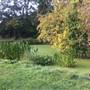 Fishponds Park