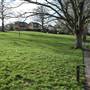 Broomhill Common