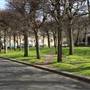 Courtenay Square