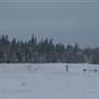Annie Lake Golf Course