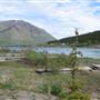 Carcross Summer