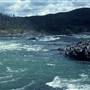 Cranberry Rapids