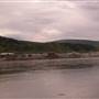 Dawson Viewpoint
